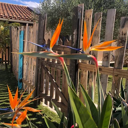 Le Loft De La Casa Roca Avec Piscine Near St Tropez Cogolin